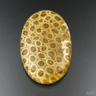 Камень агатизированный Коралл натуральный 54.20 карат арт 9488