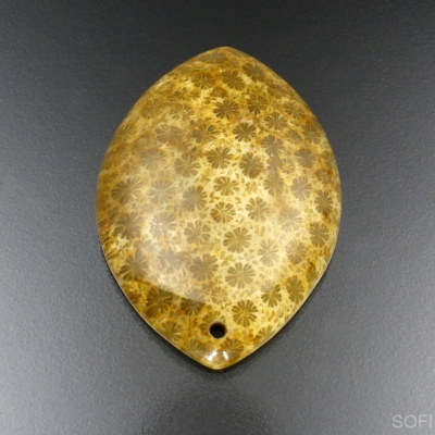 Камень агатизированный Коралл натуральный 81.95 карат арт 8062