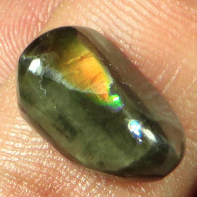 Камень Аммолит натуральный 5.35 карат арт. 0505
