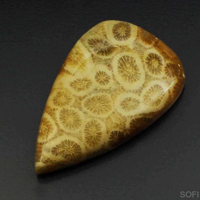  Камень агатизированный Коралл натуральный 35.00 карат арт 12064
