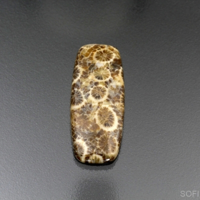 Камень агатизированный Коралл натуральный 14.70 карат арт 26567