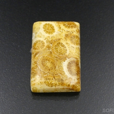 Камень агатизированный Коралл натуральный 15.75 карат арт 21840