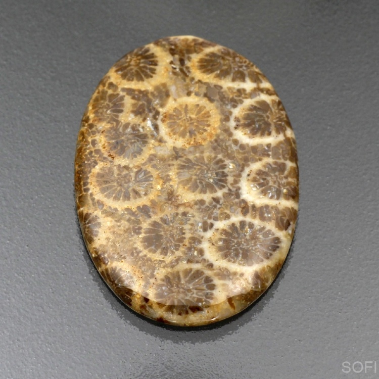 Камень агатизированный Коралл натуральный 17.70 карат арт 19142