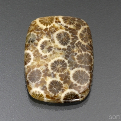 Камень агатизированный Коралл натуральный 18.85 карат арт 6266