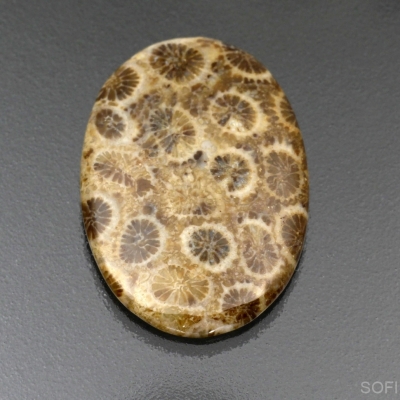 Камень агатизированный Коралл натуральный 18.90 карат арт 14289