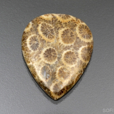 Камень агатизированный Коралл натуральный 18.90 карат арт 23769
