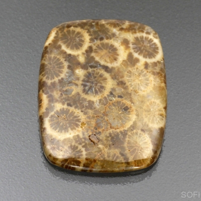 Камень агатизированный Коралл натуральный 20.10 карат арт 7529
