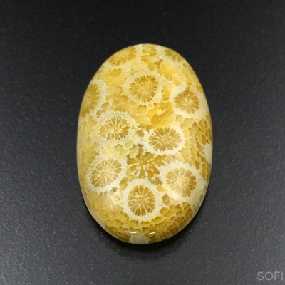 Камень агатизированный Коралл натуральный 23.35 карат арт 12653