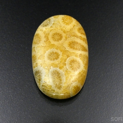 Камень агатизированный Коралл натуральный 23.60 карат арт 2751