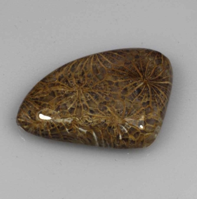  Камень агатизированный Коралл натуральный 23.50 карат арт 16101-